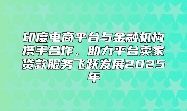 印度电商平台与金融机构携手合作，助力平台卖家贷款服务飞跃发展2025年