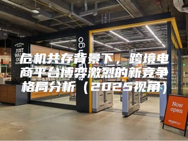 危机共存背景下，跨境电商平台博弈激烈的新竞争格局分析2025视角