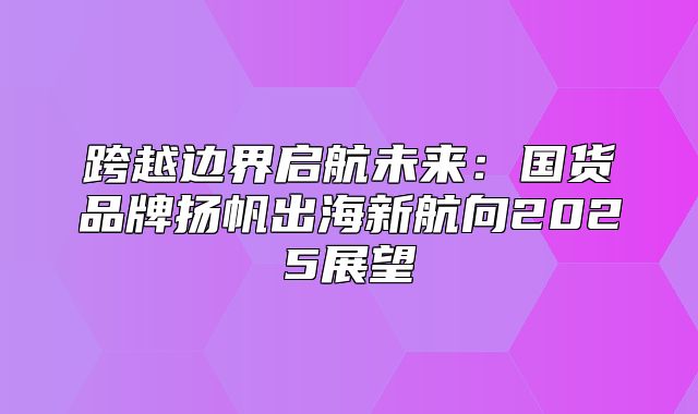 跨越边界启航未来：国货品牌扬帆出海新航向2025展望