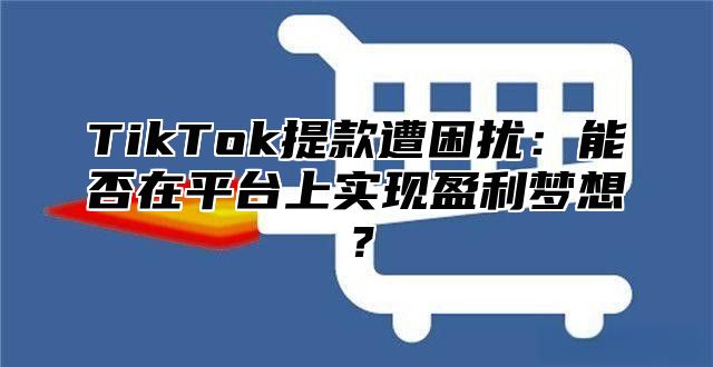 TikTok提款遭困扰：能否在平台上实现盈利梦想？
