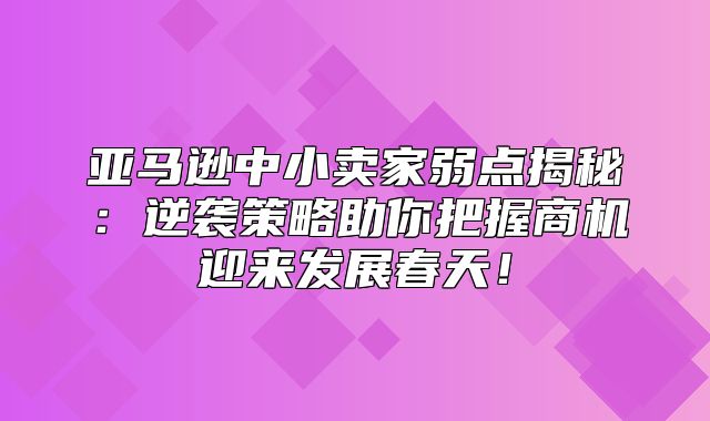 亚马逊中小卖家弱点揭秘：逆袭策略助你把握商机迎来发展春天！