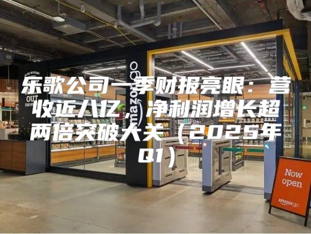 乐歌公司一季财报亮眼：营收近八亿，净利润增长超两倍突破大关2025年Q1