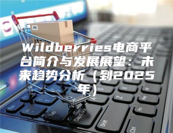 Wildberries电商平台简介与发展展望：未来趋势分析到2025年