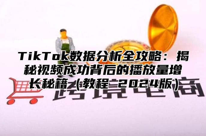 TikTok数据分析全攻略：揭秘视频成功背后的播放量增长秘籍教程 2025版