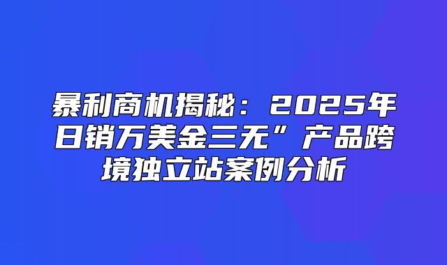 暴利商机揭秘：2025年日销万美金三无”产品跨境独立站案例分析