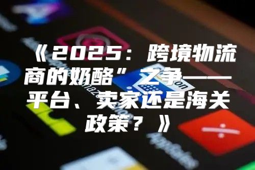 2025跨境物流商的奶酪”之争——平台、卖家还是海关政策？