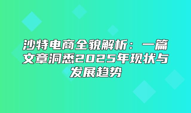沙特电商全貌解析：一篇文章洞悉2025年现状与发展趋势