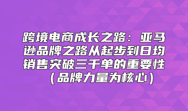 跨境电商成长之路：亚马逊品牌之路从起步到日均销售突破三千单的重要性品牌力量为核心