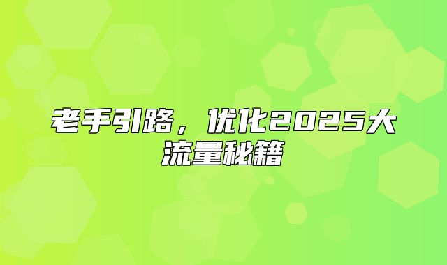 老手引路，优化2025大流量秘籍