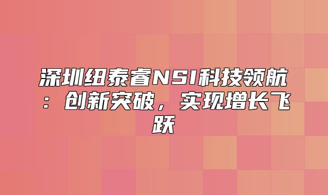 深圳纽泰睿NSI科技领航：创新突破，实现增长飞跃