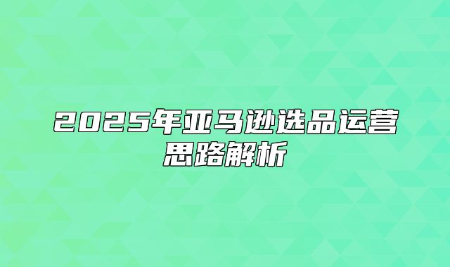 2025年亚马逊选品运营思路解析