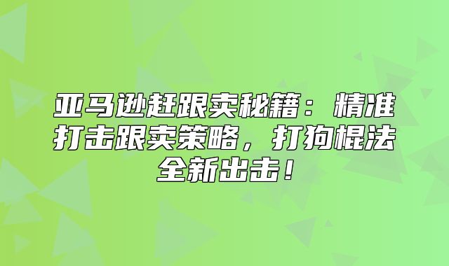 亚马逊赶跟卖秘籍：精准打击跟卖策略，打狗棍法全新出击！