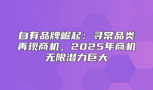 自有品牌崛起：寻常品类再现商机，2025年商机无限潜力巨大