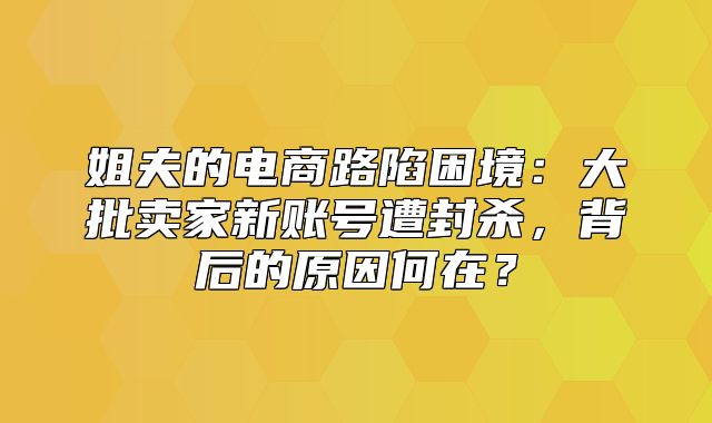 姐夫的电商路陷困境：大批卖家新账号遭封杀，背后的原因何在？