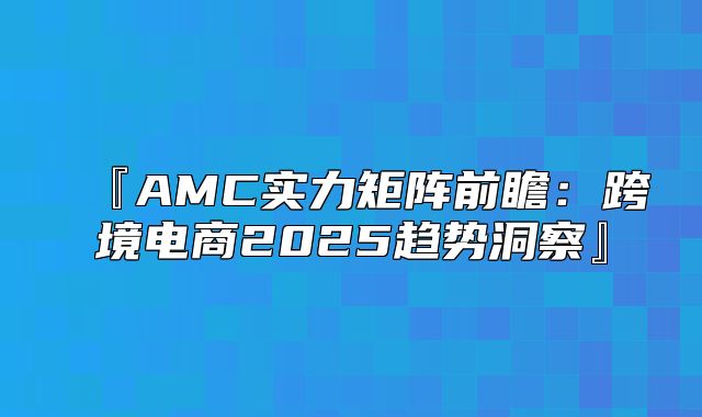 『AMC实力矩阵前瞻：跨境电商2025趋势洞察』