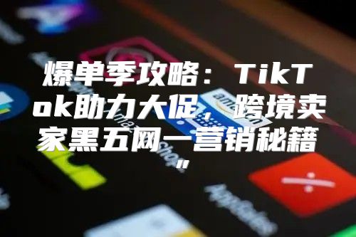爆单季攻略：TikTok助力大促，跨境卖家黑五网一营销秘籍”