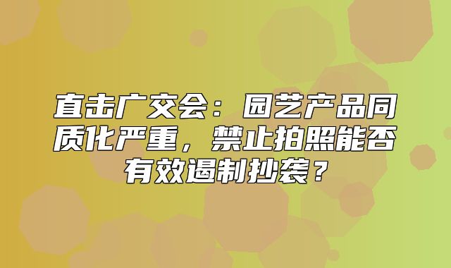 直击广交会：园艺产品同质化严重，禁止拍照能否有效遏制抄袭？