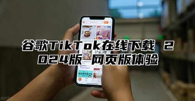 谷歌TikTok在线下载 2025版 网页版体验