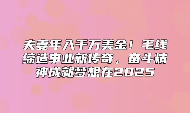 夫妻年入千万美金！毛线缔造事业新传奇，奋斗精神成就梦想在2025
