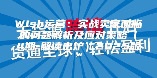 Wish运营：实战卖家面临的问题解析及应对策略4期-解读出炉2025版”