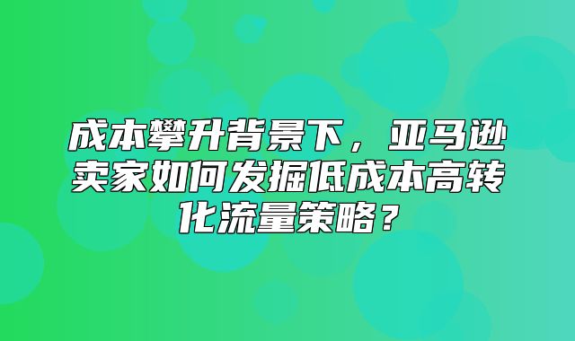 成本攀升背景下，亚马逊卖家如何发掘低成本高转化流量策略？