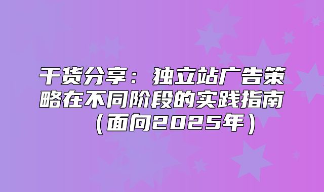 干货分享：独立站广告策略在不同阶段的实践指南面向2025年