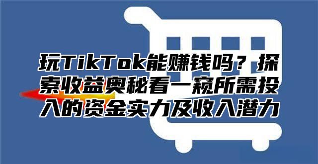玩TikTok能赚钱吗？探索收益奥秘看一窥所需投入的资金实力及收入潜力