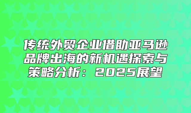 传统外贸企业借助亚马逊品牌出海的新机遇探索与策略分析：2025展望