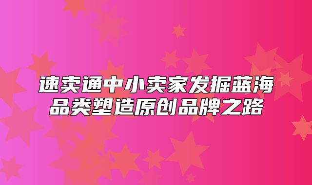 速卖通中小卖家发掘蓝海品类塑造原创品牌之路