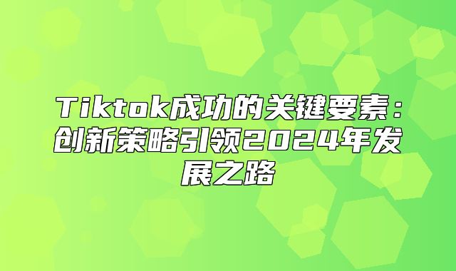 Tiktok成功的关键要素：创新策略引领2025年发展之路