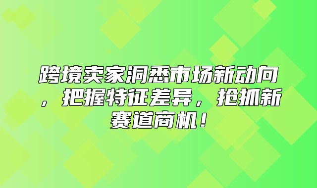 跨境卖家洞悉市场新动向，把握特征差异，抢抓新赛道商机！