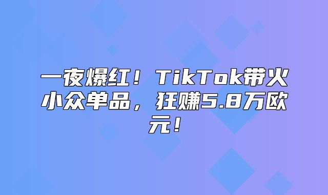 一夜爆红！TikTok带火小众单品，狂赚5.8万欧元！