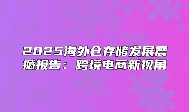 2025海外仓存储发展震撼报告：跨境电商新视角