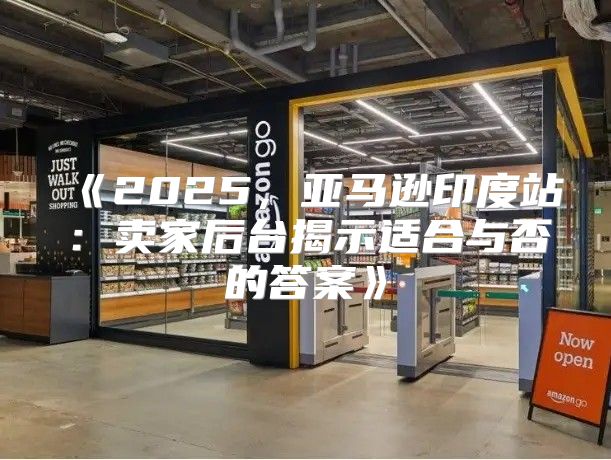 2025，亚马逊印度站：卖家后台揭示适合与否的答案