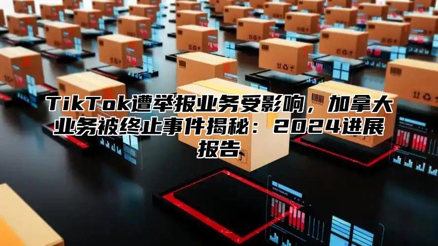TikTok遭举报业务受影响，加拿大业务被终止事件揭秘：2025进展报告