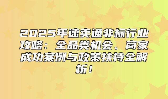 2025年速卖通非标行业攻略：全品类机会、商家成功案例与政策扶持全解析！