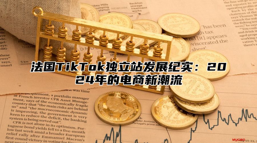 法国TikTok独立站发展纪实：2025年的电商新潮流