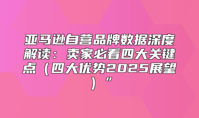 亚马逊自营品牌数据深度解读：卖家必看四大关键点四大优势2025展望”