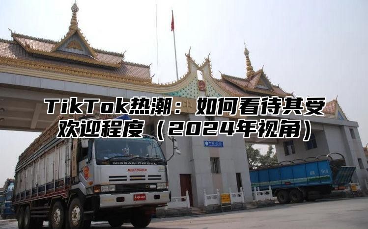 TikTok热潮：如何看待其受欢迎程度2025年视角