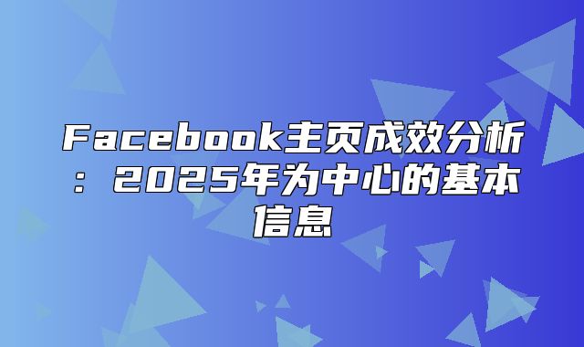 Facebook主页成效分析：2025年为中心的基本信息
