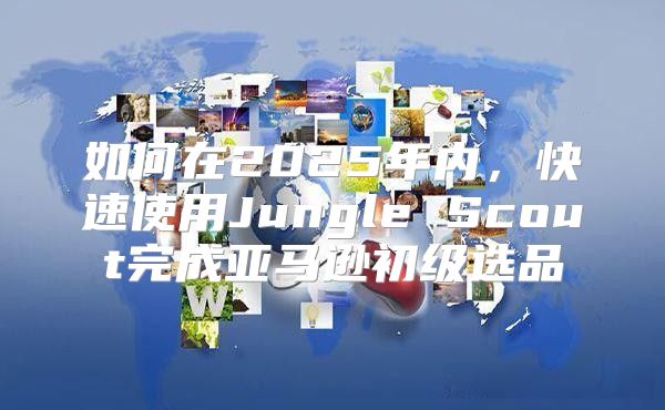 如何在2025年内，快速使用Jungle Scout完成亚马逊初级选品