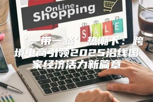 ‘一带一路’热潮下：跨境电商引领2025沿线国家经济活力新篇章