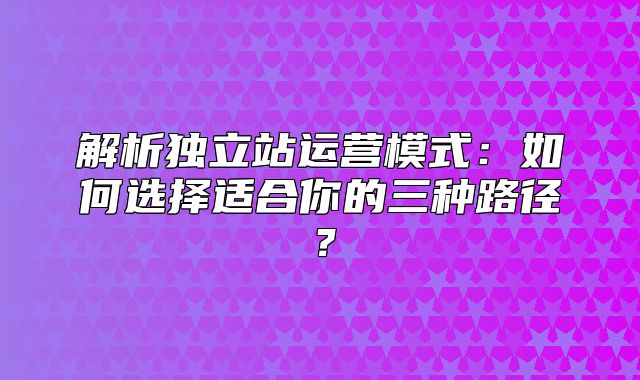解析独立站运营模式：如何选择适合你的三种路径？