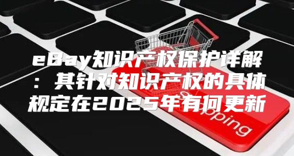 eBay知识产权保护详解：其针对知识产权的具体规定在2025年有何更新