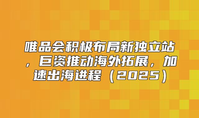 唯品会积极布局新独立站，巨资推动海外拓展，加速出海进程2025