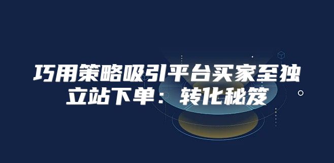 巧用策略吸引平台买家至独立站下单：转化秘笈