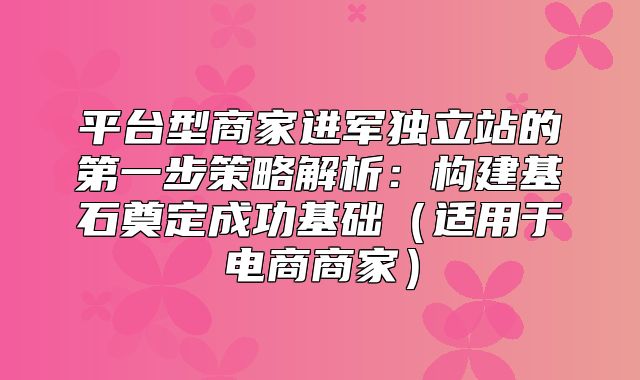 平台型商家进军独立站的第一步策略解析：构建基石奠定成功基础适用于电商商家
