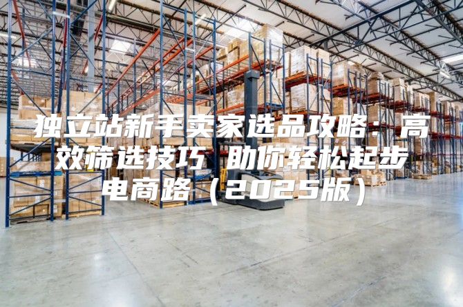 独立站新手卖家选品攻略：高效筛选技巧 助你轻松起步电商路2025版