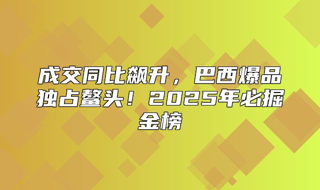 成交同比飙升，巴西爆品独占鳌头！2025年必掘金榜