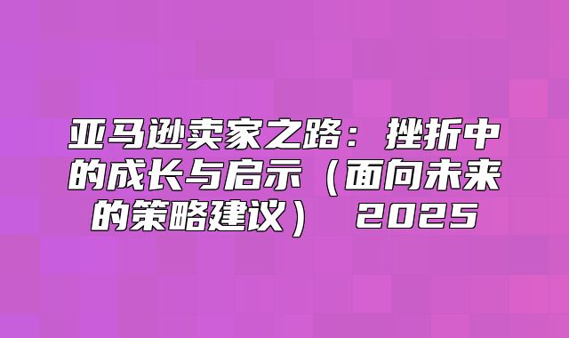 亚马逊卖家之路：挫折中的成长与启示面向未来的策略建议 2025